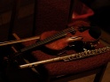 thmb-dsc0083-72.JPG
